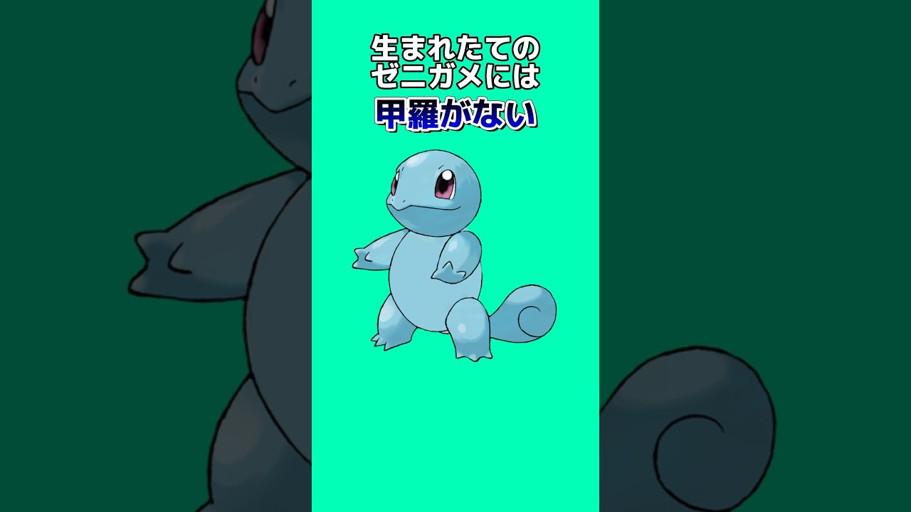 ポケモン御三家の雑学6選 #ゲーム #雑学 #アニメ #ポケモン #shorts