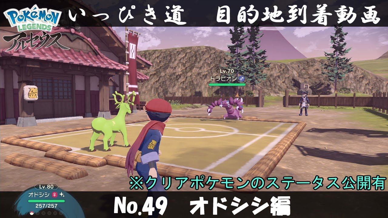 【いっぴき道攻略】No.49 オドシシ編【Pokémon LEGENDS アルセウス】