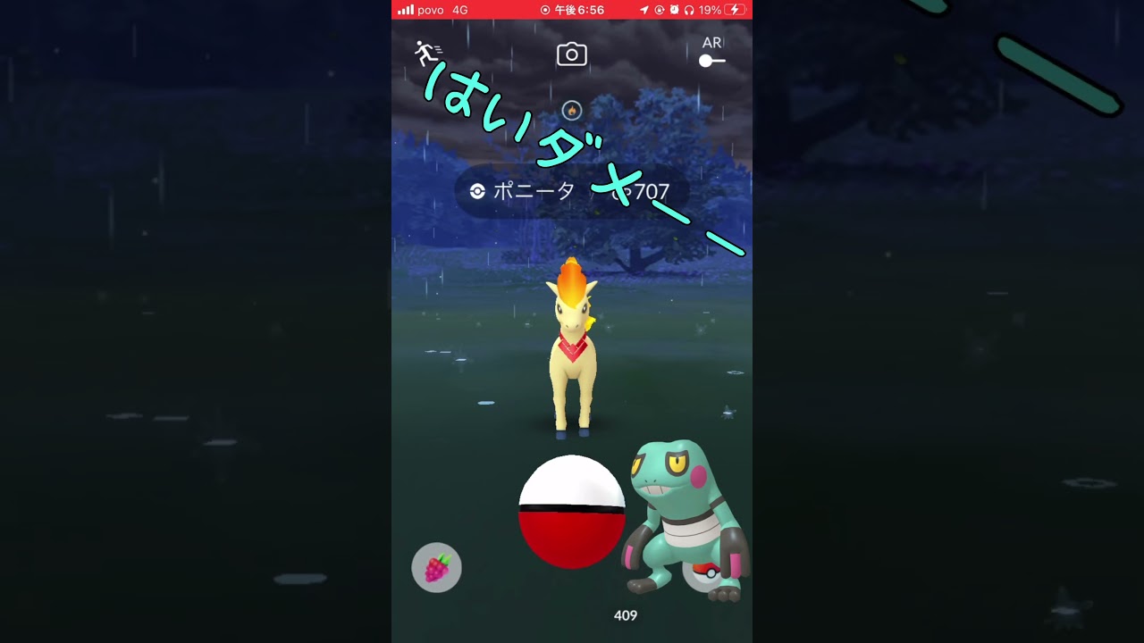 はーい ポニータチャレンジ #ポケモンgo