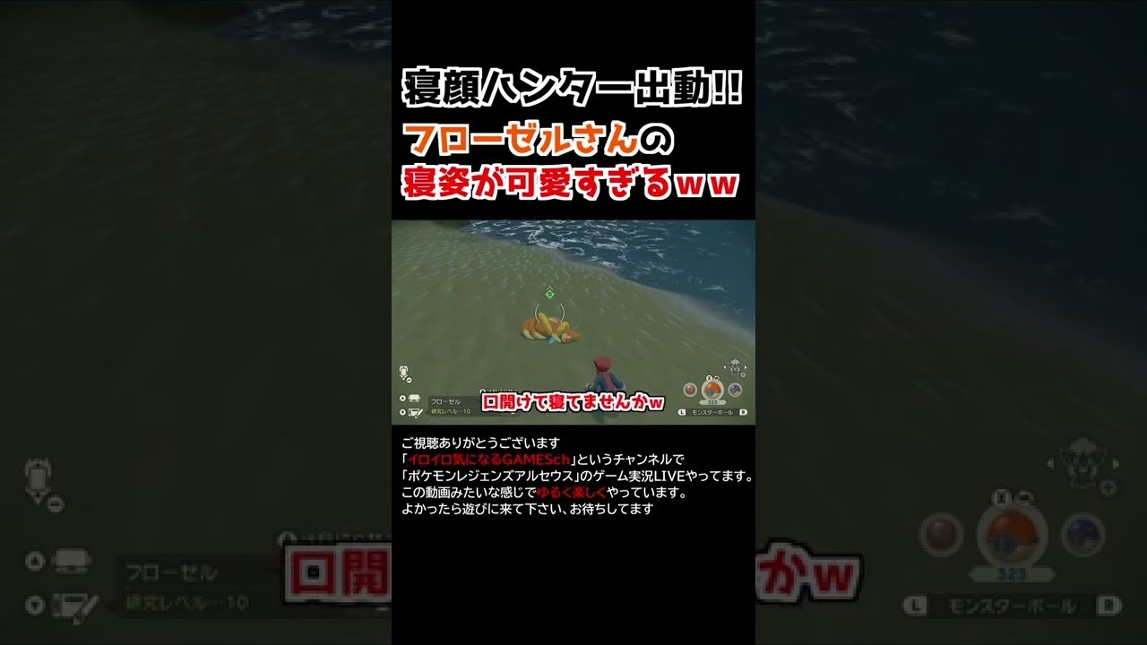 フローゼルさんの「寝姿」が可愛すぎるww【Pokémon LEGENDS アルセウス】【寝顔ハンター】