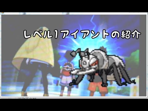【ポケモンUSUM】「LV1」アイアントの紹介