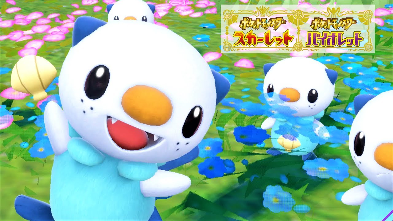 【可愛い】ミジュマル６匹に囲まれて癒されピクニック【ポケモンSV】