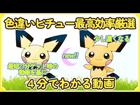 最高効率色違いピチュー厳選方法(最短23分ゲット＆大量発生含む) #ピチュー #色違い #ピカチュウ ＃ライチュウ #ポケモンSV