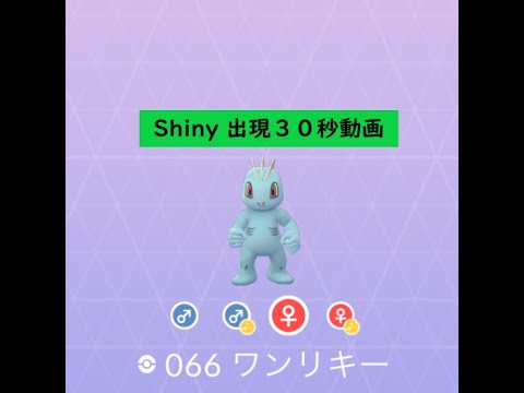【Pokémon GO】FEST 2020＃066 ワンリキー ☆shiny☆#Shorts