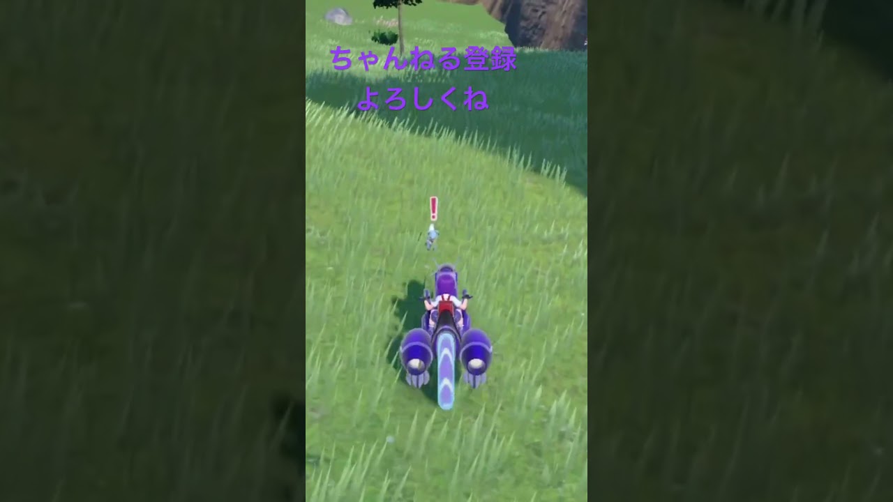 色違いイワンコ、不機嫌の証持ち！ #ポケモンsv #色違い #ポケモン #shorts