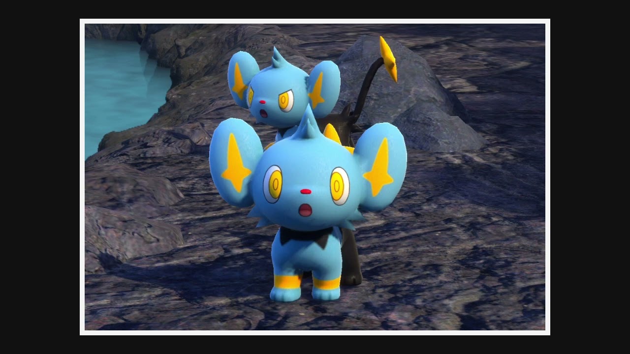 【New ポケモンスナップ】  コリンク  （No.139）☆　【Pokemon】【Pocket Monsters】