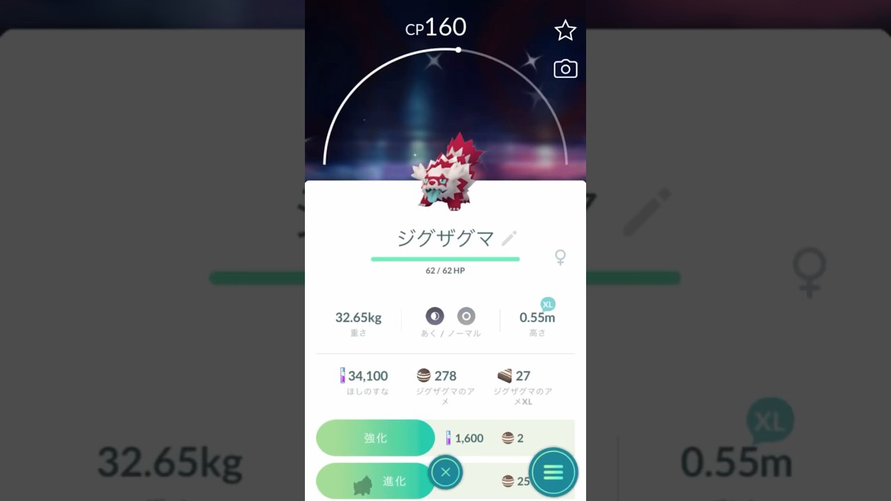 【色違いガラルジグザグマ】タチフサグマ に進化させてみた！ #色違いポケモン #ポケモンgo #ポケモンgo色違い #タチフサグマ  #pokemonGO