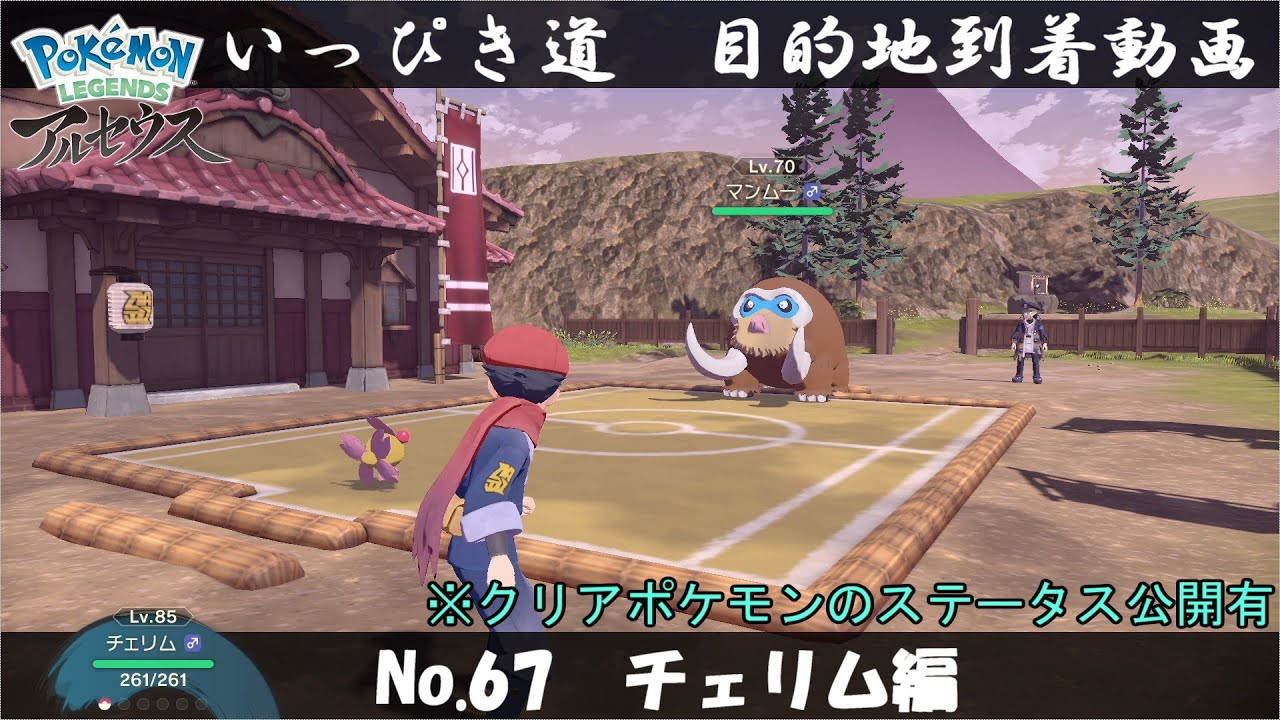 【いっぴき道攻略】No.67 チェリム編【Pokémon LEGENDS アルセウス】