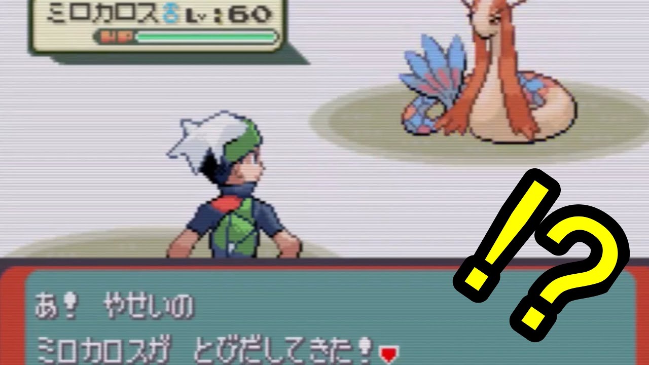 エメラルドで野生のミロカロスが出現するエリアを発見しました。【バトルフロンティア完全制覇】