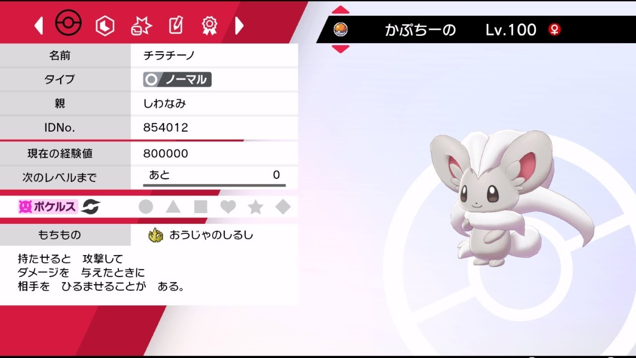 【声なしライブ】ちょっとだけ練習！かぷちーのちゃん（チラチーノ）を育成した老波さん。マスターボール級で試す。【ポケモン剣盾】