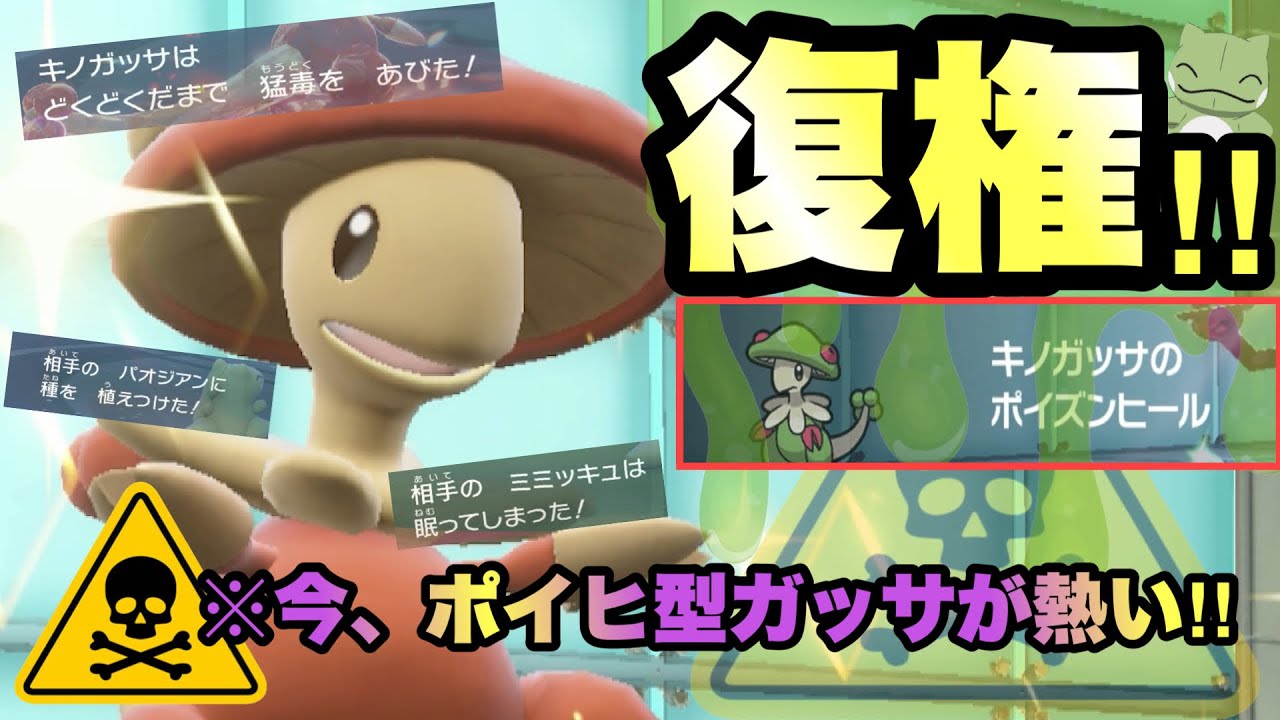 【 毒種眠 】○○テラス採用が最強！毒をもって全てを制す、"準伝環境型ポイヒガッサ"がいま熱すぎるぞ！【 ポケモンsv 】