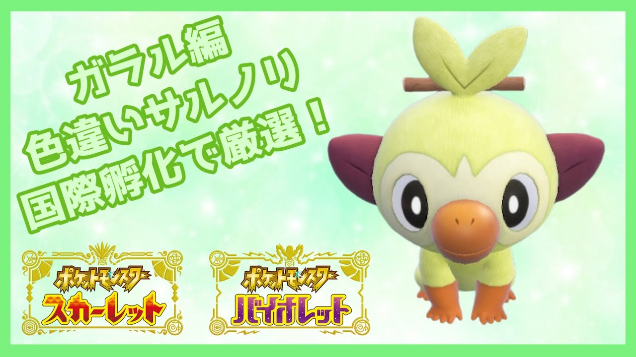 【ポケモンSV】ガラル御三家！色違いサルノリ厳選！【ゆっくり実況】