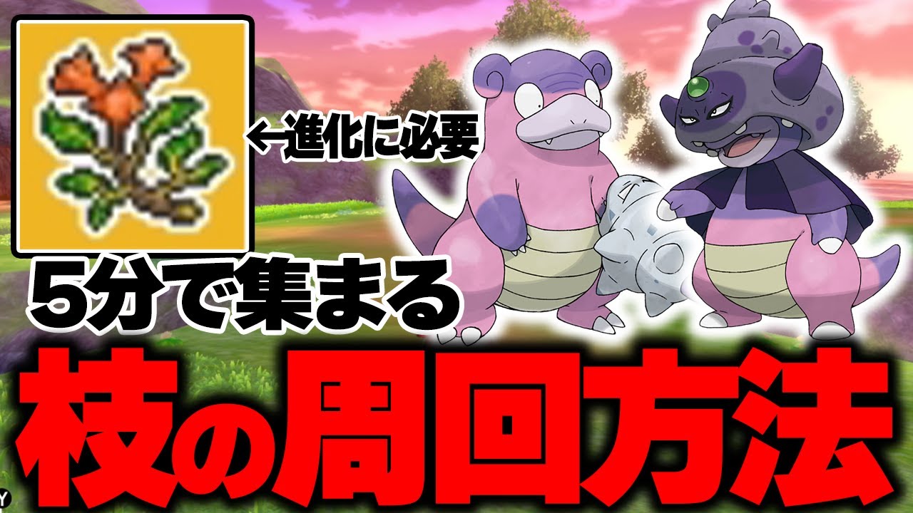 5分で15本!?ガラナツの枝爆速周回ルートを紹介します！【ポケモンSV】【ポケモン剣盾】