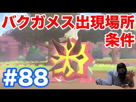 #88【ポケモンソード】ドラゴン・ほのおタイプ"バクガメス"の出現場所・条件・種族値！確実に捕まえるコツは"ヌオー"入手？！【最新作の攻略実況プレイ】