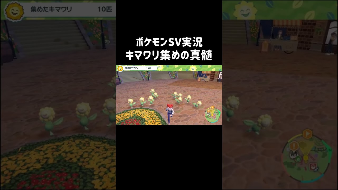 キマワリ集めの真髄（？）ポケモンSV実況　#shorts