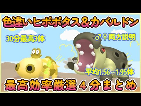 色違いヒポポタス♂♀＆カバルドン♂♀最高効率厳選４分動画 30分最高3体 平均1.95体#ポケモンsv #最高効率 #色違い #ヒポポタス #カバルドン #♂ #♀
