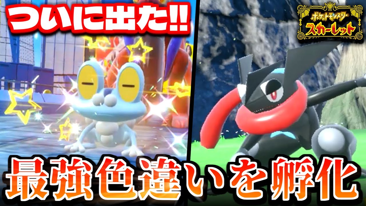 【ポケモンSV】イケメン色違いGET!?「ケロマツ」のオシャボ入り色違いを孵化出来たので早速「ゲッコウガ」に進化させてみたらハプニングまみれｗ 【切り抜き】【色違いポケモン】【ポケモン】【色違い厳選】