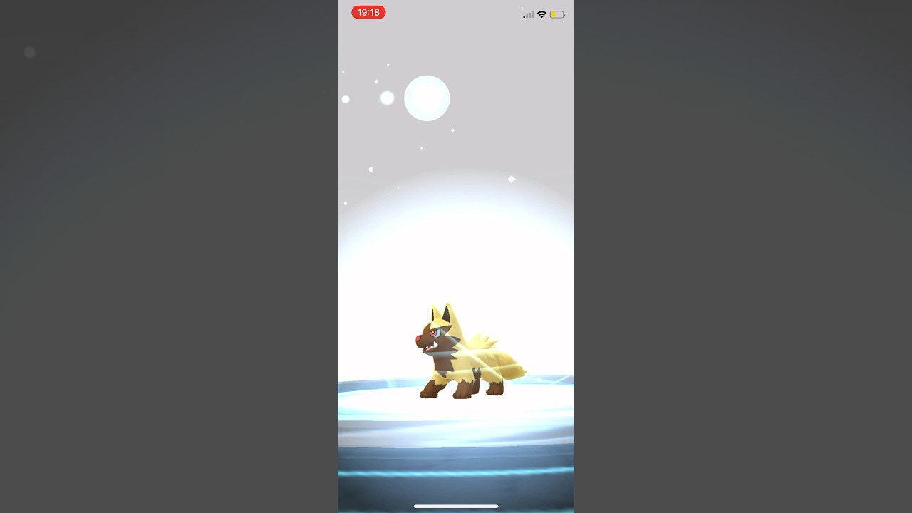 ポケモンGO色違いポチエナ進化