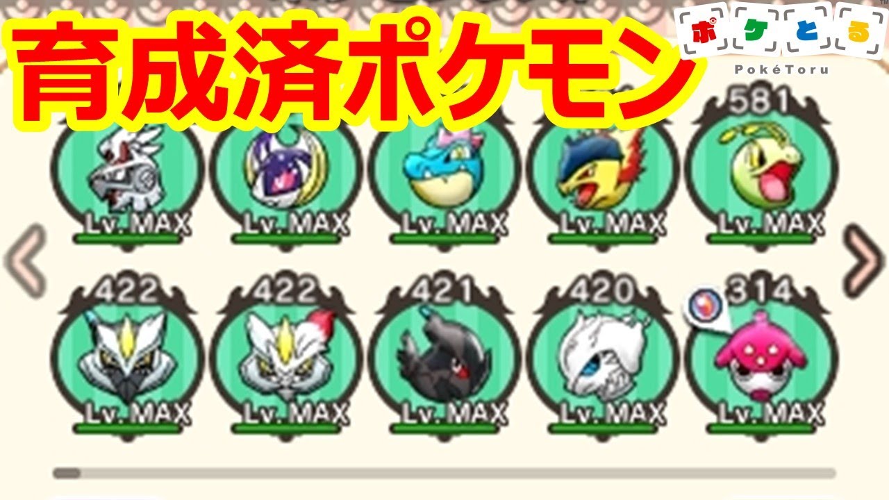 [2021/2/25]ポケとる 育成済みポケモン紹介（メイン機・サブ機）[Pokemon Shuffle]