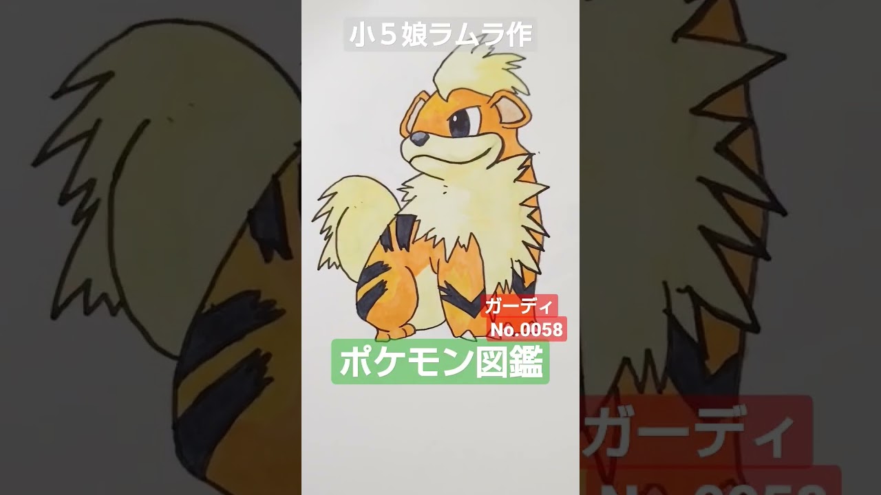 【ポケモン図鑑】ポケモン図鑑ガーディ書いてみました!!小５娘ラムラ作＃ポケカ＃pocketMonster＃ポケモンイラスト＃ポケモンカード＃クレイバースト＃スノーハザード＃トリプレットビート