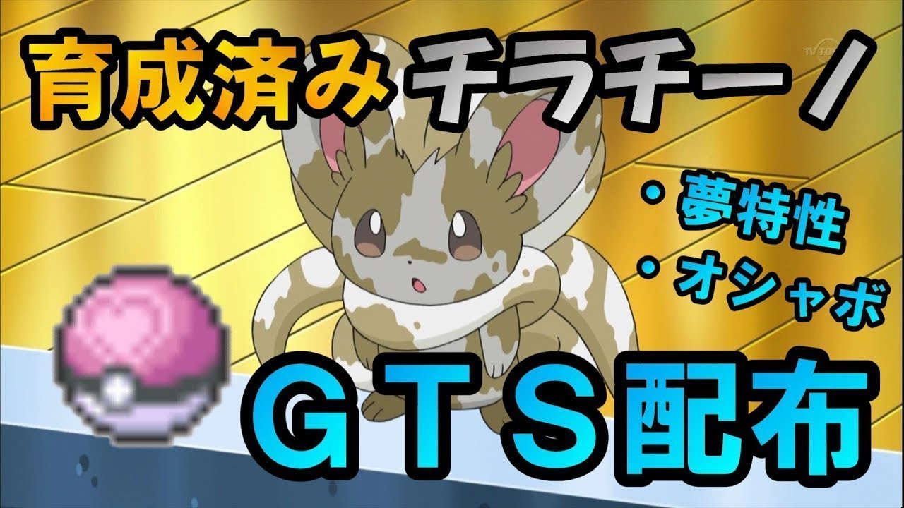 【ポケモンUSUM】育成済みチラチーノをGTS配布！もんじゃとサカナ の顔出し生放送