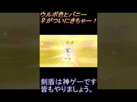 【ポケモン剣盾】ウルボ色ヒバニーの♀がやっと出たぞお！皆も剣盾やろう！