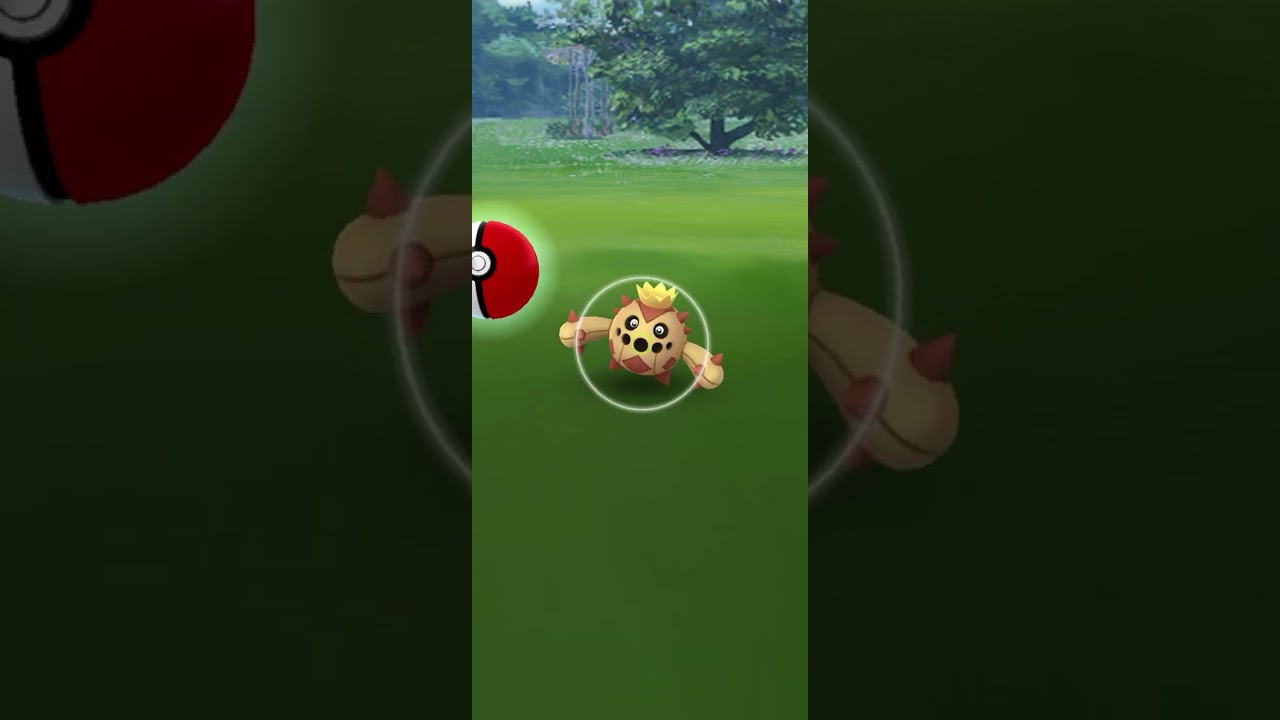 【Pokémon GO】 Shiny Cacnea GET✨