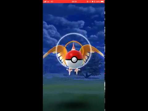 【Pokémon GO Excellent Throw】022 オニドリル (Fearow)