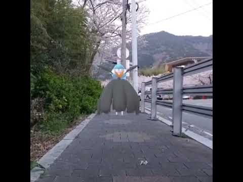 메가가디안 ( Mega Gardevoir ) メガサーナイト ( 沙奈朵 )