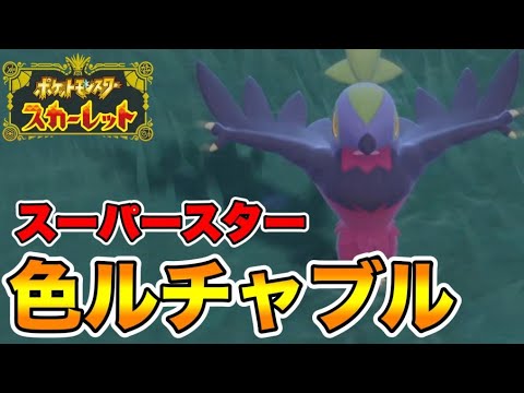 色違いのルチャブルを出して発狂する男 　【ポケモンSV】
