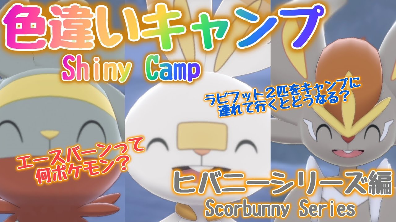 【ポケモン剣盾】色違いキャンプ　ヒバニー・ラビフット・エースバーン～Shiny Camp Scorbunny Series～