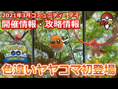 【ポケモンGO】ヤヤコマのコミュニティ・デイ開催！色違い初登場、ファイアローの特別なわざは「やきつくす」