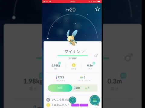 マイナンがしっぽぴよぴよってするだけ