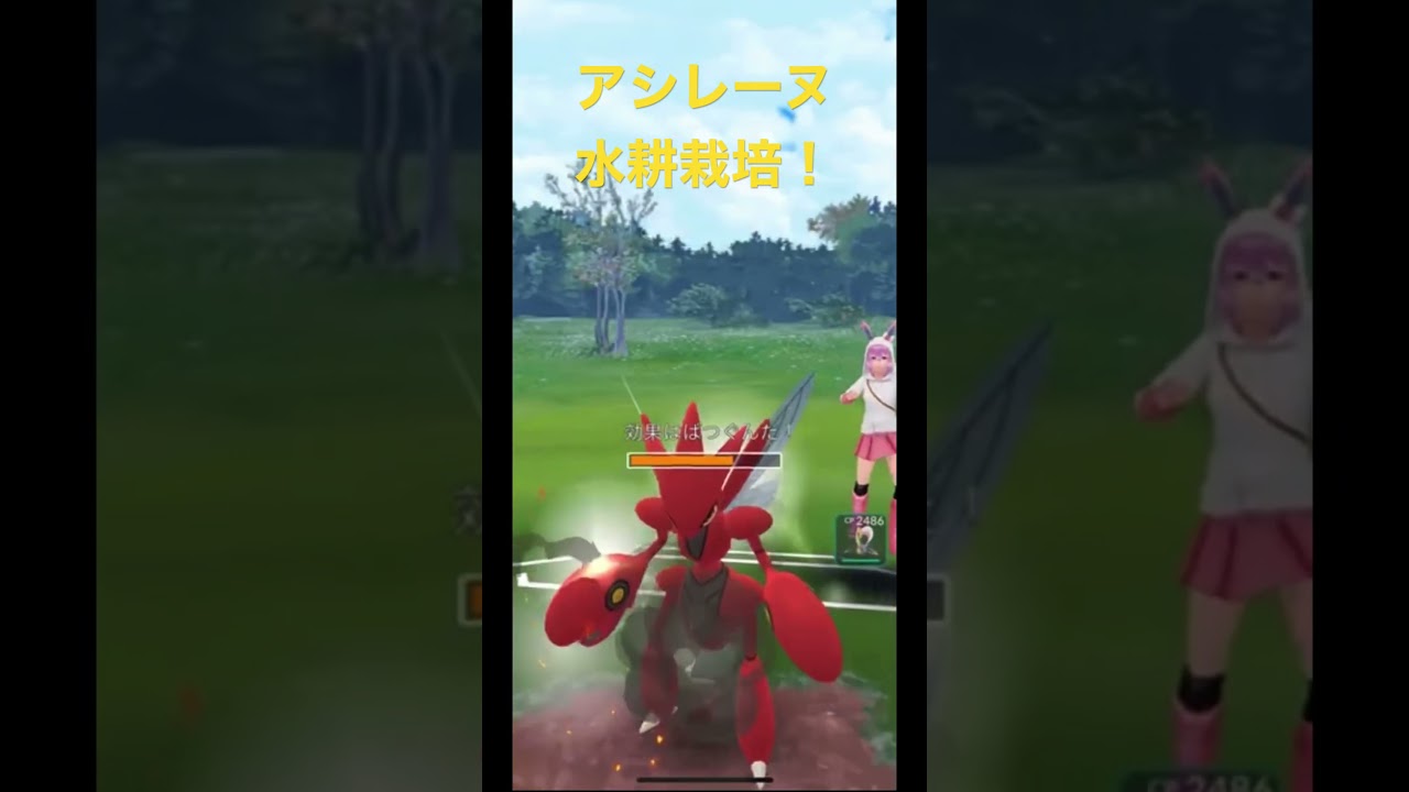 アシレーヌ水耕栽培！【Primarina】