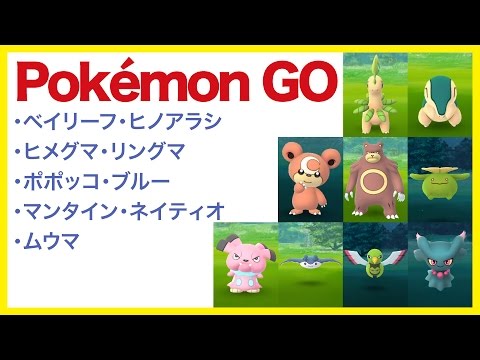 【Pokémon GO ポケモン集めてみる14】・ベイリーフ・ヒノアラシ・ヒメグマ・リングマ・ポポッコ・ブルー・マンタイン・ネイティオ・ムウマ