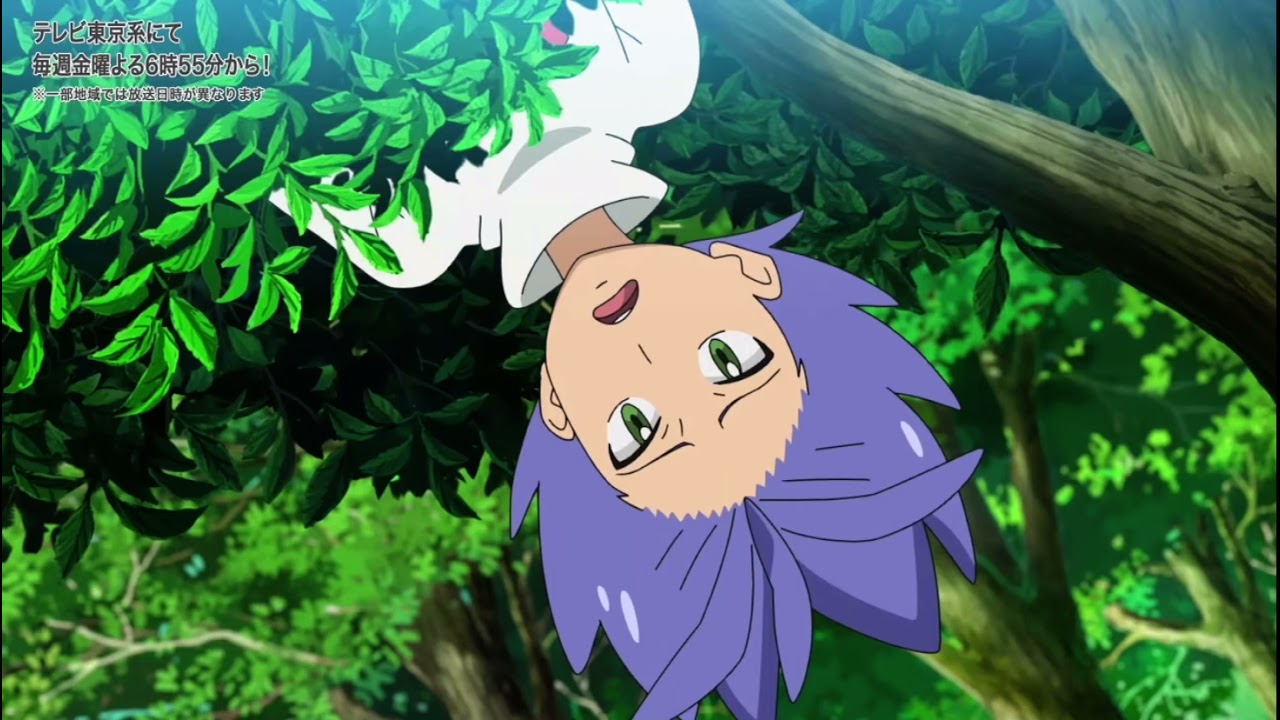 【アニポケ】モルペコ、ついにゲットされる