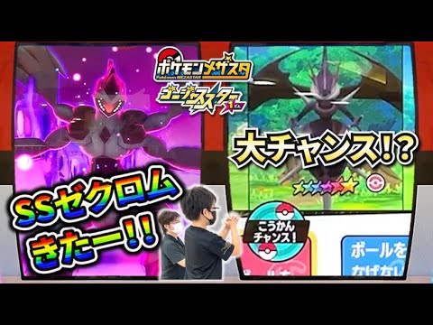 ダイマックスゼクロムかっこいい！そしてSSアーゴヨンで交換チャンスなるか！？パルデア地方のSSください！【ポケモンメザスタ ゴージャススター1弾】コーキtv
