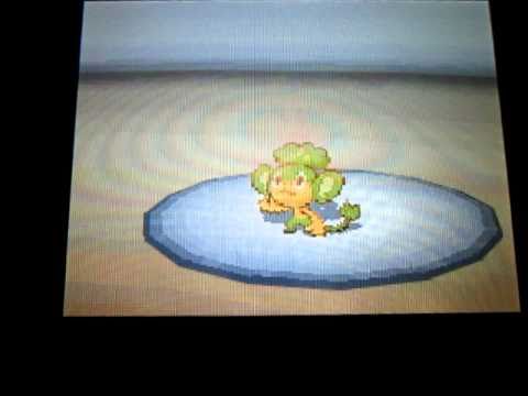 ポケットモンスターブラックホワイト、サンヨウシティジム戦