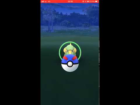 【Pokémon GO Excellent Throw】309 ラクライ (Electrike)
