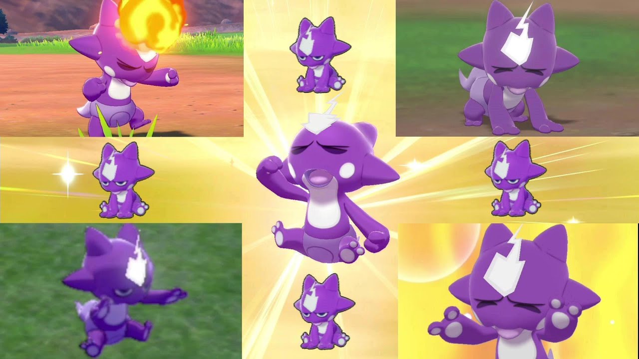 【ぐうポケ】エレズンのかわいさをギュッと詰め込みました！！【ポケモン剣盾】