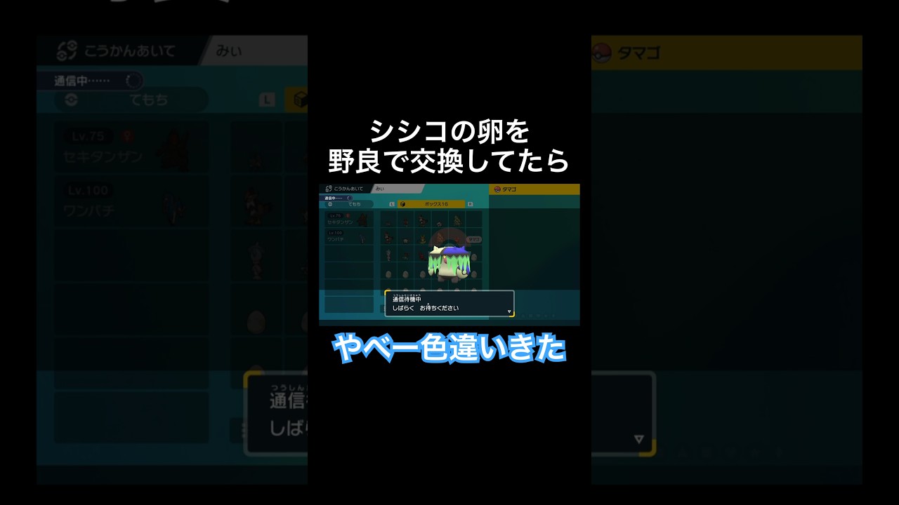 シシコの卵を交換してたらヤバすぎる色違いと交換できた #ポケモンsv #スカーレット #バイオレット