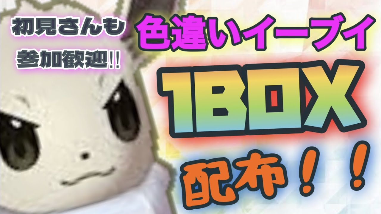 「色違い配布！ポケモンSV」久しぶりの色イーブイ1BOX配布配布！ラストワンもあるよ～