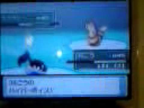 ポケットモンスタープラチナ　ペラップＶＳケイト