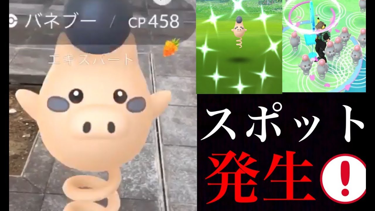 【ポケモンGO】速報！バネブー大量発生！スポットライトアワーは毎週継続！？サーナイトで連勝チャレンジ！【スポットライトアワー・GOバトルリーグ】