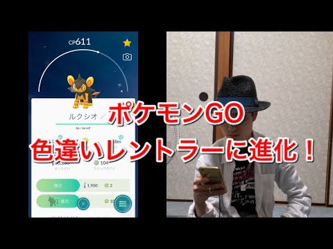 【ポケモンGO】色違いのルクシオをレントラーに進化させます！よしくんの持っているポケモン紹介！【PokemonGO】