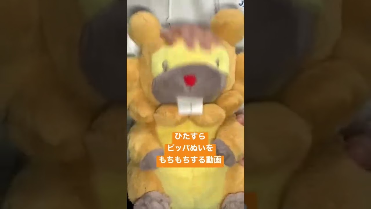 ビッパのぬいぐるみをモチモチするだけの動画
