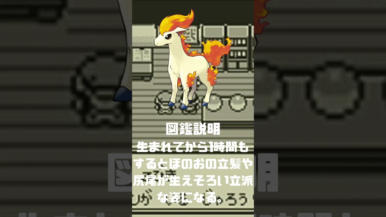 Ｎｏ．0077 ポニータ【ポケモン図鑑】 #shorts   #ポケモン　#pokemon