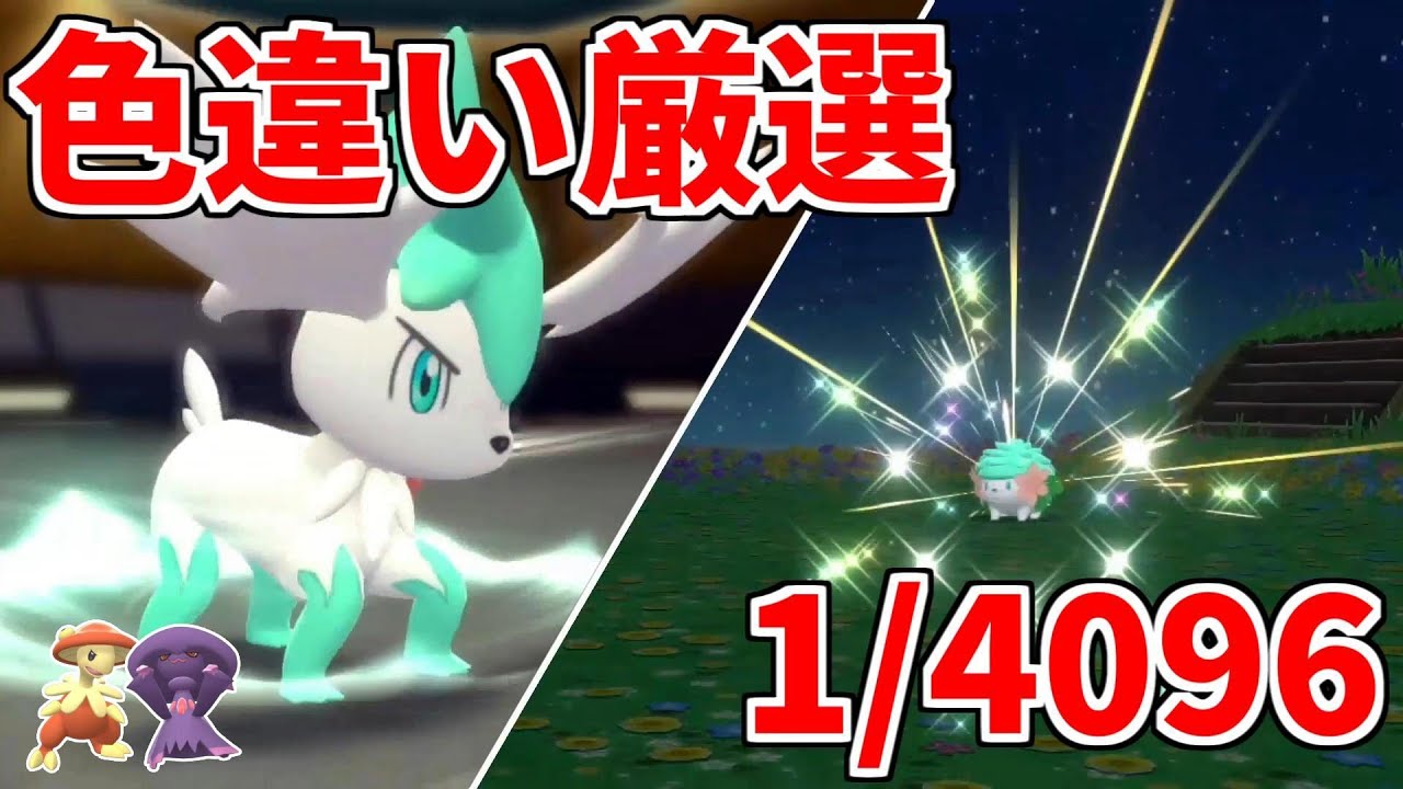 【ポケモンBDSP】感謝の色違いシェイミ厳選【ゆっくり実況】