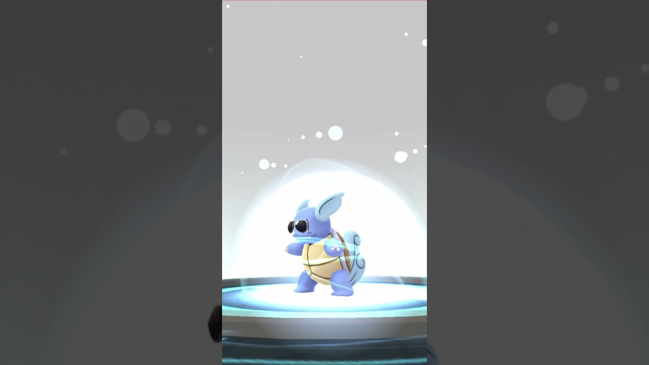 ゼニガメ(サングラス)個体値100%→カメール→カメックス｜ハイドロカノン｜Squirtle(Costume)【ポケモンGO】