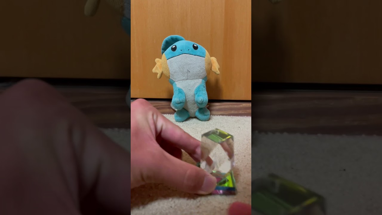 ミズゴロウにお土産あげた(めっちゃ遅い)#shorts #ミズゴロウ